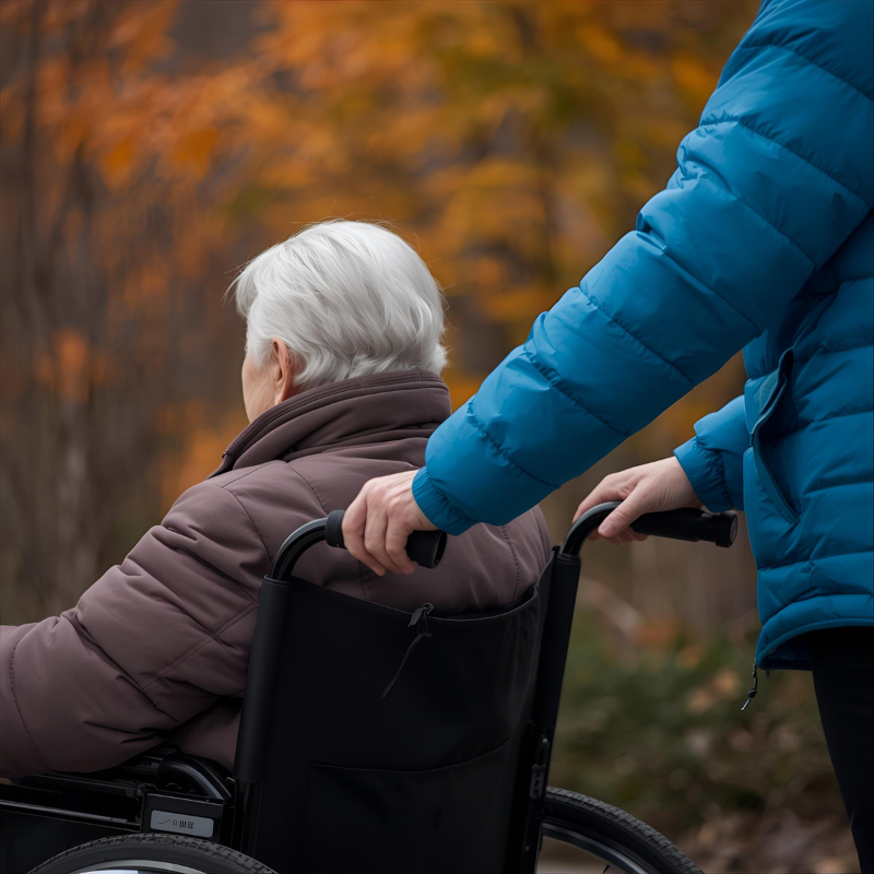 Kotipalvelua ja virkistystoimintaa iäkkäille